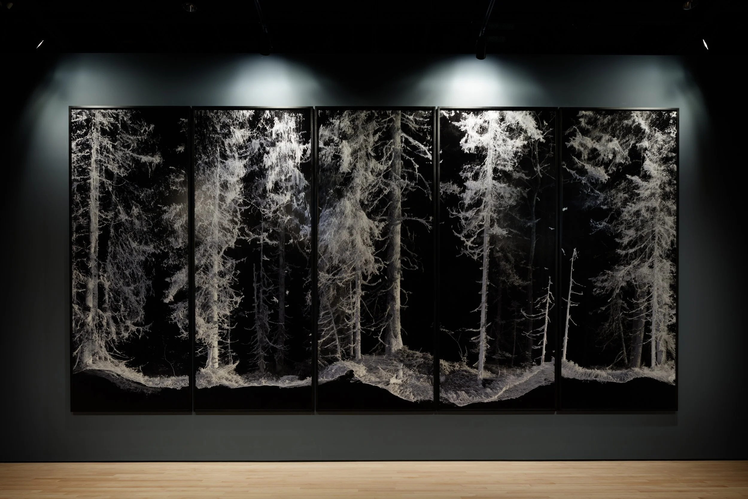 Night Light — Margot Mottaz | Curator